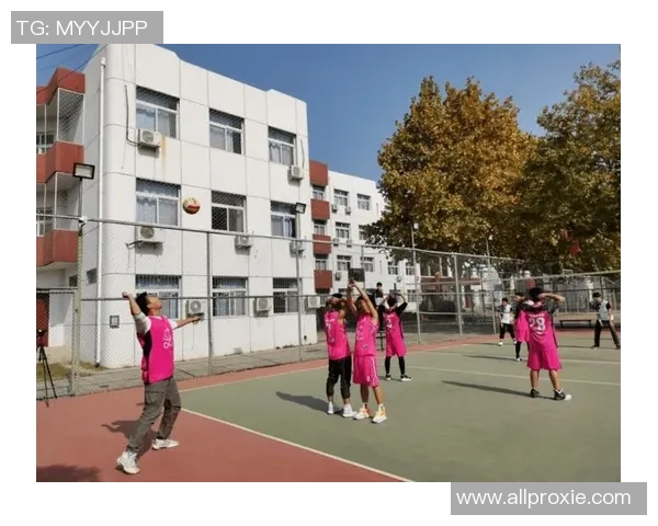 深入分析杭州排球队的阵地战战术及其在比赛中的应用效果